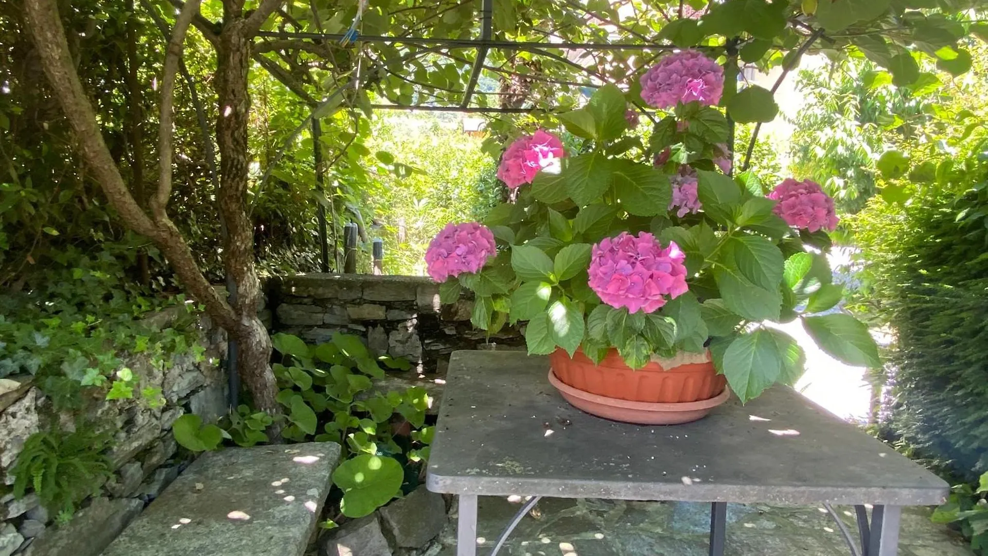 Life Is Good - Front Lake Apartment In Villa Tremezzo